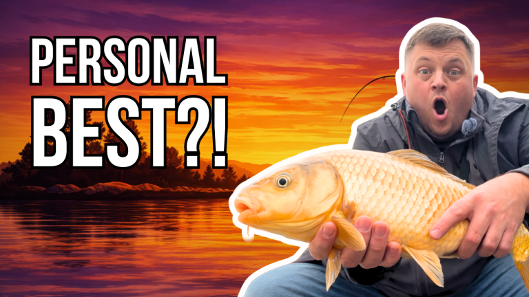 3 Methods. 3 Hours. How Many Fish Can I Catch?! | Fishing Challenge